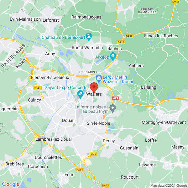 google map