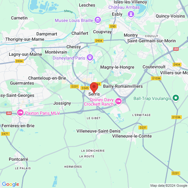 google map