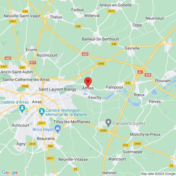 google map