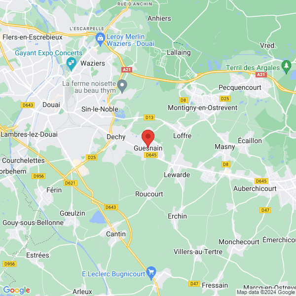 google map