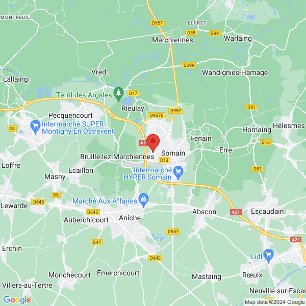 google map