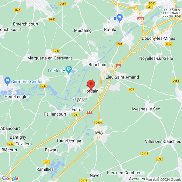 google map