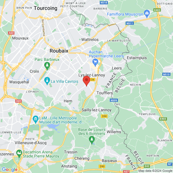 google map