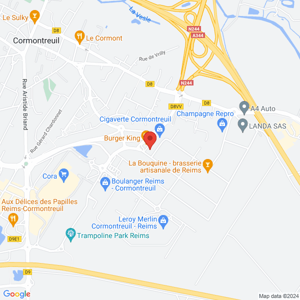 google map