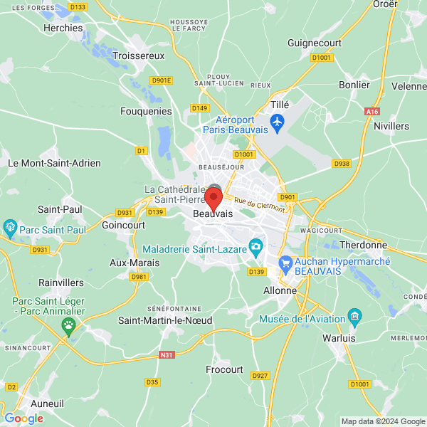 google map