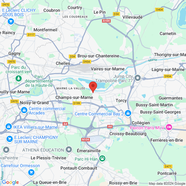 google map
