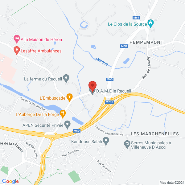google map
